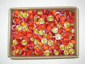 �ե�������������꡼��16g��500�ġ�1Ȣ���ڡ����󤻾��ʡ��ۡʲ�������