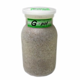 եƥåݻӥG-potGݥåȡˡ850ccХʲ